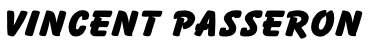 Vincent PASSERON