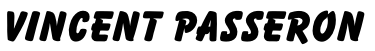 Vincent PASSERON